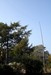 G6CSY Image